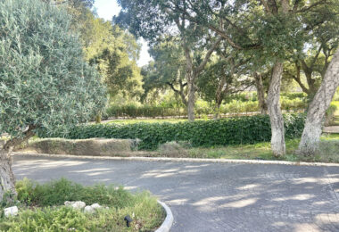 Plot with own water, with beautiful mature garden; exterior enclosure wall and completely fenced, for sale in Sotogrande