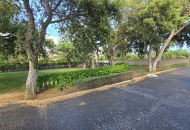 Plot with own water, with beautiful mature garden; exterior enclosure wall and completely fenced, for sale in Sotogrande