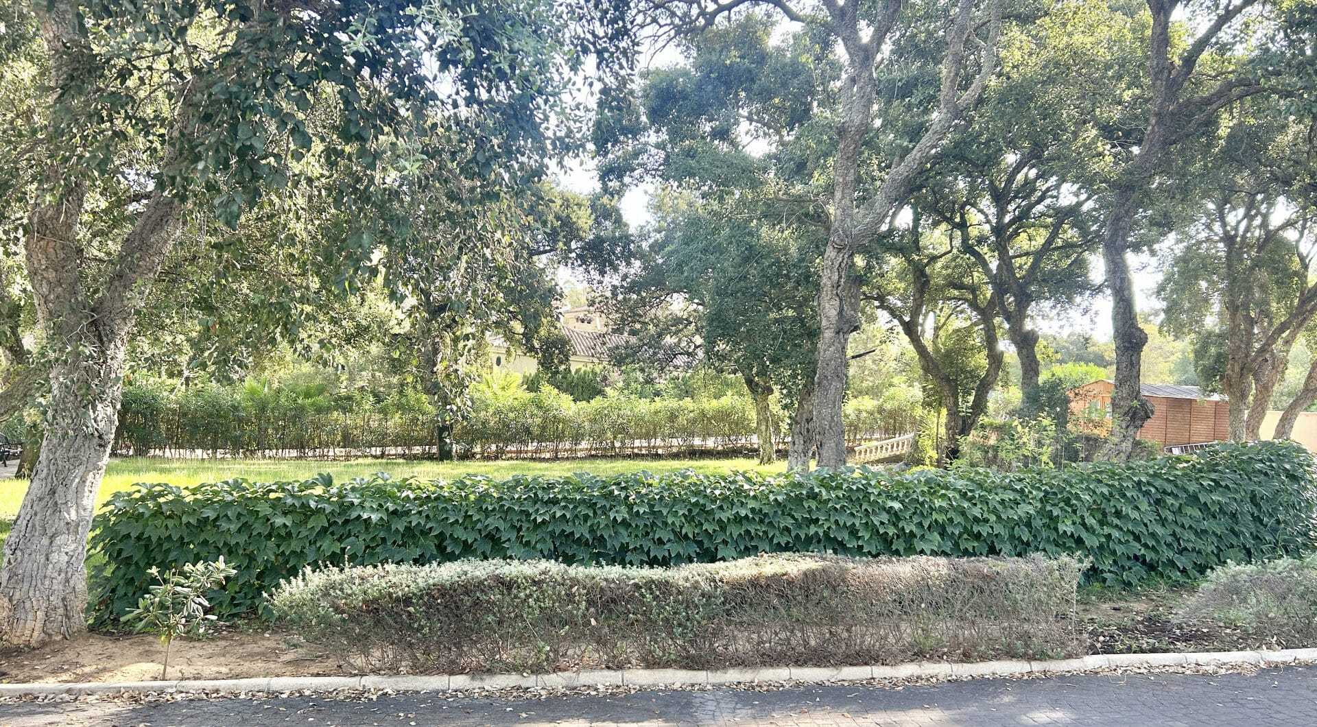 Plot with own water, with beautiful mature garden; exterior enclosure wall and completely fenced, for sale in Sotogrande