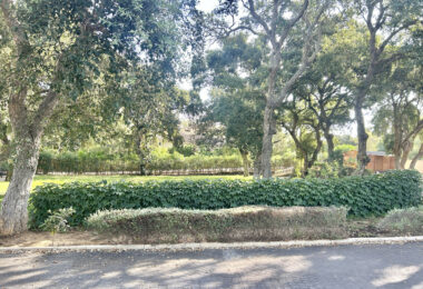 Plot with own water, with beautiful mature garden; exterior enclosure wall and completely fenced, for sale in Sotogrande