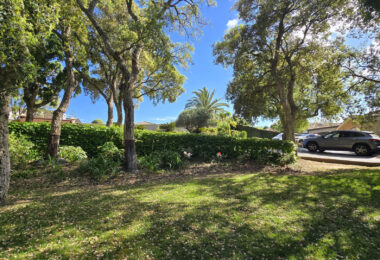 Plot with own water, with beautiful mature garden; exterior enclosure wall and completely fenced, for sale in Sotogrande