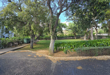 Plot with own water, with beautiful mature garden; exterior enclosure wall and completely fenced, for sale in Sotogrande