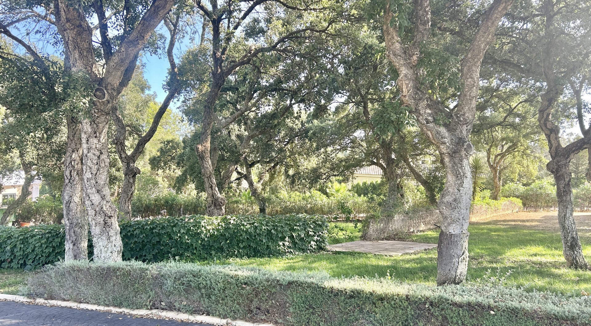Plot with own water, with beautiful mature garden; exterior enclosure wall and completely fenced, for sale in Sotogrande