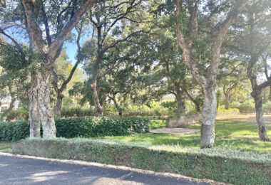 Plot with own water, with beautiful mature garden; exterior enclosure wall and completely fenced, for sale in Sotogrande