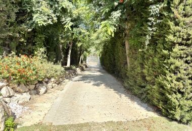Renovated Villa for Sale in Sotogrande Costa’s Sought-After B-Zone
