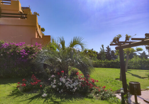 Stunning 3-bedroom beachfront apartment, Playa del Ángel