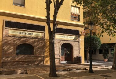 Gran Local Comercial with infinite possibilities - San Pedro de Alcántara