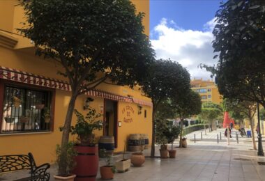 Gran Local Comercial with infinite possibilities - San Pedro de Alcántara