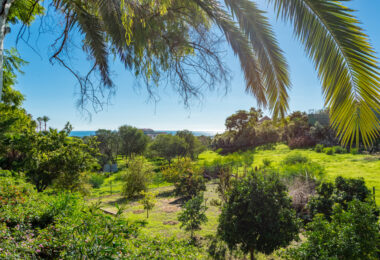 Classic Andalusian Luxury in Marbella’s Hidden Enclave of Vega del Colorado