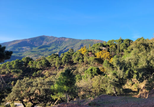 Exceptional Plot in the Exclusive La Zagaleta Community