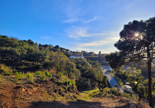 Exceptional Plot in the Exclusive La Zagaleta Community