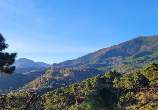 Exceptional Plot in the Exclusive La Zagaleta Community