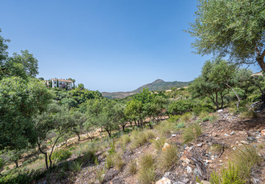 Southwest facing plot in La Zagaleta with a spectacular villa project
